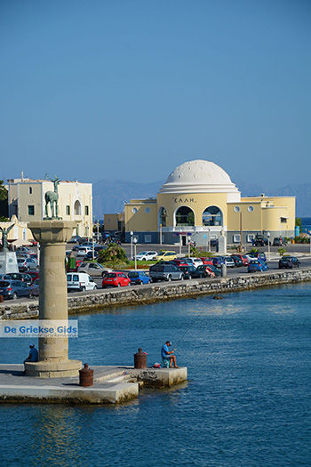 Rhodos stad Rhodos - Rhodos Dodecanese - Foto 1476 - Foto van https://www.grieksegids.nl/fotos/rhodos/350/rhodos-stad-213.jpg