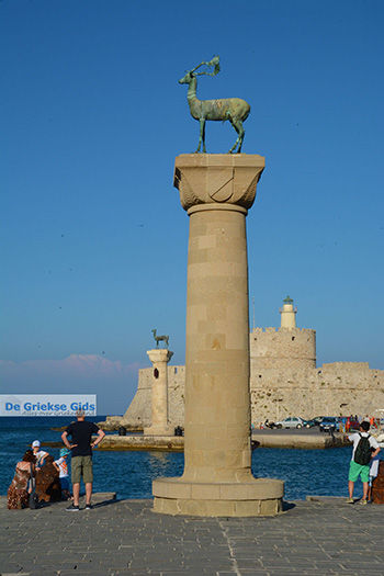 Rhodos stad Rhodos - Rhodos Dodecanese - Foto 1523 - Foto van https://www.grieksegids.nl/fotos/rhodos/350/rhodos-stad-260.jpg