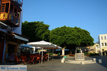 Rhodos stad Rhodos - Rhodos Dodecanese - Foto 1567 - Foto van https://www.grieksegids.nl/fotos/rhodos/350/rhodos-stad-304.jpg