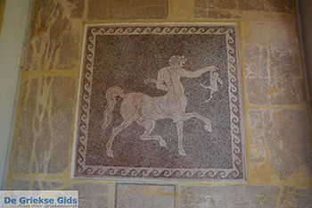 Rhodos stad Rhodos - Rhodos Dodecanese - Foto 1658 - Foto van https://www.grieksegids.nl/fotos/rhodos/350/rhodos-stad-395.jpg