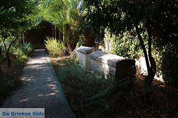 Rhodos stad Rhodos - Rhodos Dodecanese - Foto 1659 - Foto van https://www.grieksegids.nl/fotos/rhodos/350/rhodos-stad-396.jpg