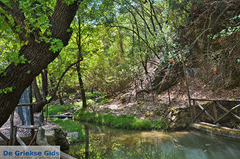 Vlindervallei Rhodos - Rhodos Dodecanese - Foto 1832 - Foto van https://www.grieksegids.nl/fotos/rhodos/350/vlindervallei-009.jpg