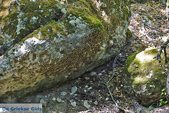 Vlindervallei Rhodos - Rhodos Dodecanese - Foto 1841 - Foto van https://www.grieksegids.nl/fotos/rhodos/350/vlindervallei-018.jpg