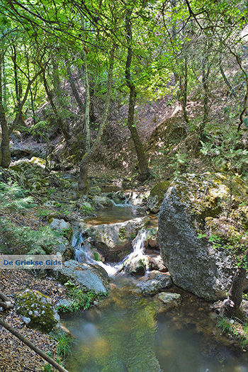 Vlindervallei Rhodos - Rhodos Dodecanese - Foto 1844 - Foto van https://www.grieksegids.nl/fotos/rhodos/350/vlindervallei-021.jpg