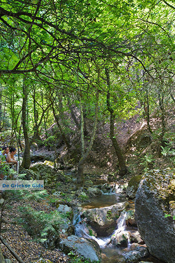 Vlindervallei Rhodos - Rhodos Dodecanese - Foto 1845 - Foto van https://www.grieksegids.nl/fotos/rhodos/350/vlindervallei-022.jpg