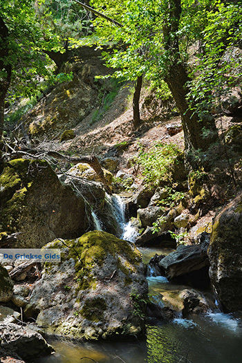 Vlindervallei Rhodos - Rhodos Dodecanese - Foto 1852 - Foto van https://www.grieksegids.nl/fotos/rhodos/350/vlindervallei-029.jpg