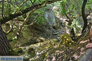 Vlindervallei Rhodos - Rhodos Dodecanese - Foto 1863 - Foto van https://www.grieksegids.nl/fotos/rhodos/350/vlindervallei-040.jpg