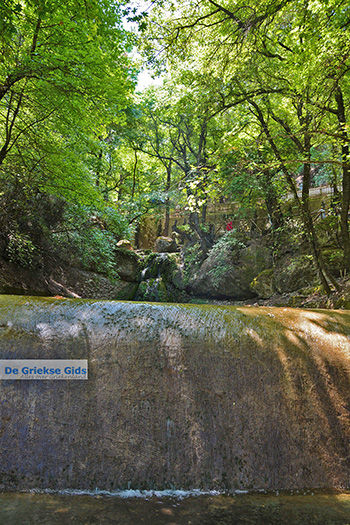 Vlindervallei Rhodos - Rhodos Dodecanese - Foto 1873 - Foto van https://www.grieksegids.nl/fotos/rhodos/350/vlindervallei-050.jpg