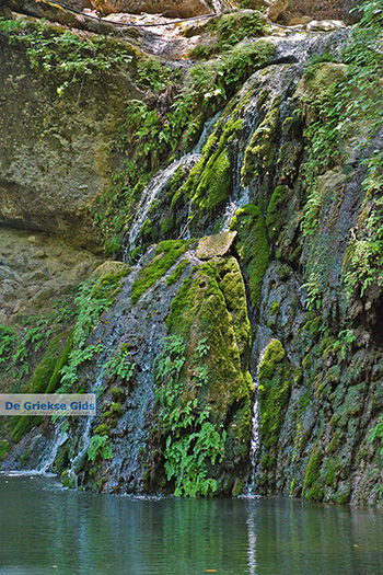 Vlindervallei Rhodos - Rhodos Dodecanese - Foto 1875 - Foto van https://www.grieksegids.nl/fotos/rhodos/350/vlindervallei-052.jpg