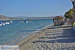 Strand bij Aianteio (Eantio) Salamis foto 4 - Foto van De Griekse Gids