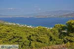 Aiantio in de baai van Salamis foto 1 - Foto van De Griekse Gids