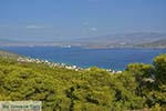 Aiantio in de baai van Salamis foto 2 - Foto van De Griekse Gids