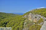 Bossen in het zuidwesten van Salamis - Foto van De Griekse Gids