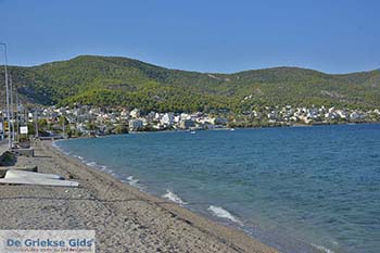 Strand bij Aianteio (Eantio) Salamis foto 1 - Foto van https://www.grieksegids.nl/fotos/salamina/normaal/salamis-saronische-eilanden-013.jpg