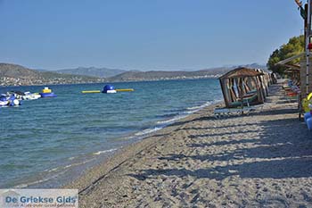 Strand bij Aianteio (Eantio) Salamis foto 4 - Foto van https://www.grieksegids.nl/fotos/salamina/normaal/salamis-saronische-eilanden-016.jpg