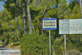 Kanakia in Salamis - Foto van https://www.grieksegids.nl/fotos/salamina/normaal/salamis-saronische-eilanden-032.jpg