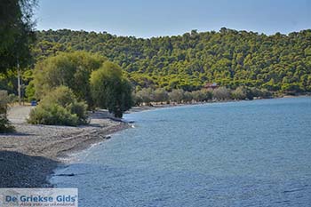 Strand Kanakia beach op Salamis foto 1 - Foto van https://www.grieksegids.nl/fotos/salamina/normaal/salamis-saronische-eilanden-033.jpg