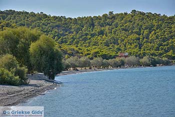 Strand Kanakia beach op Salamis foto 2 - Foto van https://www.grieksegids.nl/fotos/salamina/normaal/salamis-saronische-eilanden-034.jpg