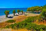 Foto Samos Ägäische Inseln GriechenlandWeb - Foto GriechenlandWeb.de