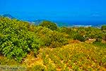 Kosmadei Samos en Karlovassi Samos gezien vanaf de bergen - Foto van De Griekse Gids