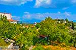 Foto Samos Ägäische Inseln GriechenlandWeb - Foto GriechenlandWeb.de