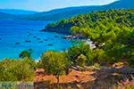 Foto Samos Ägäische Inseln GriechenlandWeb.de - Foto GriechenlandWeb.de