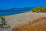 Strand bij Pythagorion Samos - Potokaki Samos foto 1 - Foto van De Griekse Gids