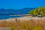 GriechenlandWeb.de Strand Pythagorion Samos - Potokaki Samos foto 3 - Foto GriechenlandWeb.de