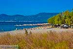 Strand bij Pythagorion Samos - Potokaki Samos foto 3 - Foto van De Griekse Gids