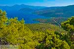 Baai Mourtia Samos | Griekenland | Foto 1 - Foto van De Griekse Gids