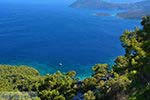 Baai Mourtia Samos | Griekenland | Foto 14 - Foto van De Griekse Gids