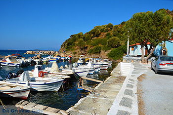 Agia Paraskevi Samos | Griekenland | Foto 5 - Foto van https://www.grieksegids.nl/fotos/samos/normaal/agia-paraskevi-samos-005.jpg
