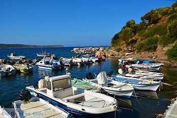 Agia Paraskevi Samos | Griekenland | Foto 9 - Foto van https://www.grieksegids.nl/fotos/samos/normaal/agia-paraskevi-samos-009.jpg