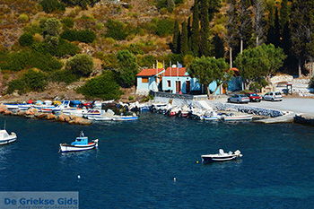 Agia Paraskevi Samos | Griechenland | Foto 18 - Foto von GriechenlandWeb.de