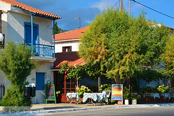 Agios Konstandinos Samos | Griekenland | Foto 12 - Foto van https://www.grieksegids.nl/fotos/samos/normaal/agios-konstandinos-samos-012.jpg