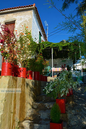 Avlakia Samos | Griekenland 17 - Foto van https://www.grieksegids.nl/fotos/samos/normaal/avlakia-tsambou-samos-017.jpg