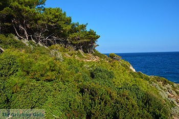 Avlakia Samos | Griekenland 21 - Foto van https://www.grieksegids.nl/fotos/samos/normaal/avlakia-tsambou-samos-021.jpg