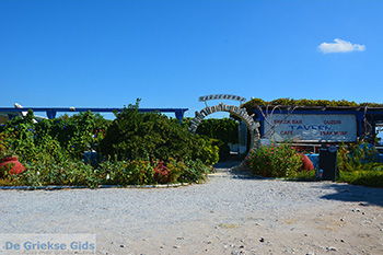 Ireon Samos | Griekenland 1 - Foto van https://www.grieksegids.nl/fotos/samos/normaal/ireon-samos-001.jpg