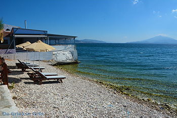 Ireon Samos | Griekenland 20 - Foto van https://www.grieksegids.nl/fotos/samos/normaal/ireon-samos-020.jpg