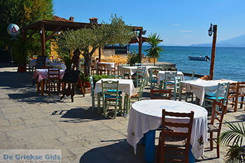 Ireon Samos | Griekenland 28 - Foto van https://www.grieksegids.nl/fotos/samos/normaal/ireon-samos-028.jpg