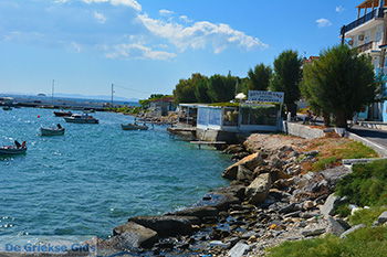 Ireon Samos | Griekenland 30 - Foto van https://www.grieksegids.nl/fotos/samos/normaal/ireon-samos-030.jpg