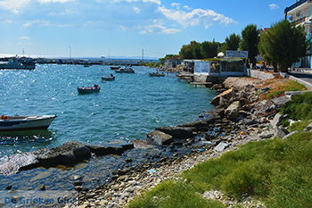 Ireon Samos | Griekenland 31 - Foto van https://www.grieksegids.nl/fotos/samos/normaal/ireon-samos-031.jpg