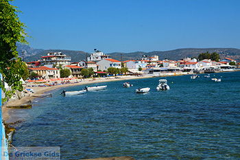 Ireon Samos | Griekenland 35 - Foto van https://www.grieksegids.nl/fotos/samos/normaal/ireon-samos-035.jpg