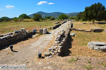 Ireon Samos | Griekenland 40 - Foto van https://www.grieksegids.nl/fotos/samos/normaal/ireon-samos-040.jpg