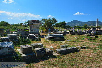 Ireon Samos | Griekenland 44 - Foto van https://www.grieksegids.nl/fotos/samos/normaal/ireon-samos-044.jpg