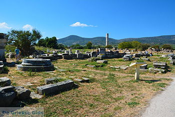Ireon Samos | Griekenland 45 - Foto van https://www.grieksegids.nl/fotos/samos/normaal/ireon-samos-045.jpg