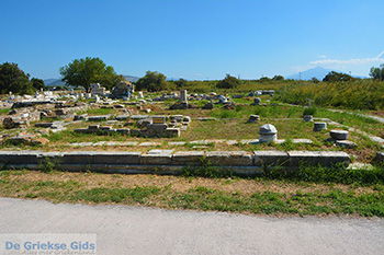 Ireon Samos | Griekenland 51 - Foto van https://www.grieksegids.nl/fotos/samos/normaal/ireon-samos-051.jpg