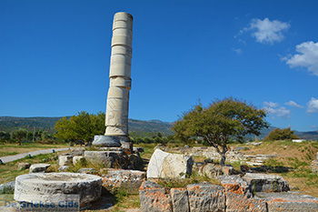 Ireon Samos | Griekenland 52 - Foto van https://www.grieksegids.nl/fotos/samos/normaal/ireon-samos-052.jpg