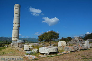 Ireon Samos | Griekenland 55 - Foto van https://www.grieksegids.nl/fotos/samos/normaal/ireon-samos-055.jpg