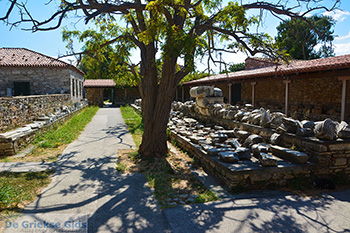 Ireon Samos | Griekenland 59 - Foto van https://www.grieksegids.nl/fotos/samos/normaal/ireon-samos-059.jpg